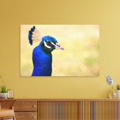 Toile Gros plan d'un paon 3 (Insitu(Salon))