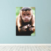 Toile Gros plan d'un singe capucin à cou noir (Insitu (Plancher de Bois))