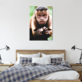 Toile Gros plan d'un singe capucin à cou noir (Insitu(Chambre))
