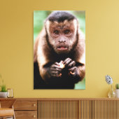 Toile Gros plan d'un singe capucin à cou noir (Insitu(Salon))