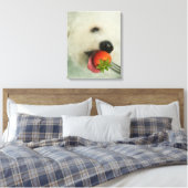 Toile Gros plan d'une Bichon Frise mangeant une fraise (Insitu(Chambre))