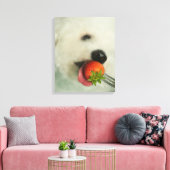 Toile Gros plan d'une Bichon Frise mangeant une fraise (Insitu(Salon))