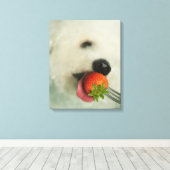 Toile Gros plan d'une Bichon Frise mangeant une fraise (Insitu (Plancher de Bois))