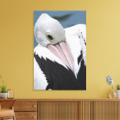 Toile Gros plan pélican australien (Insitu(Salon))