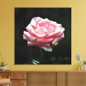 Toile Gros plan Rose (Insitu(Salon))