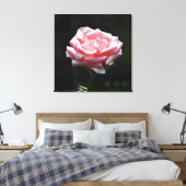Toile Gros plan Rose (Insitu(Chambre))