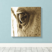 Toile Gros plan Sepia Image d'un Cheval gris applaudi da (Insitu (Plancher de Bois))