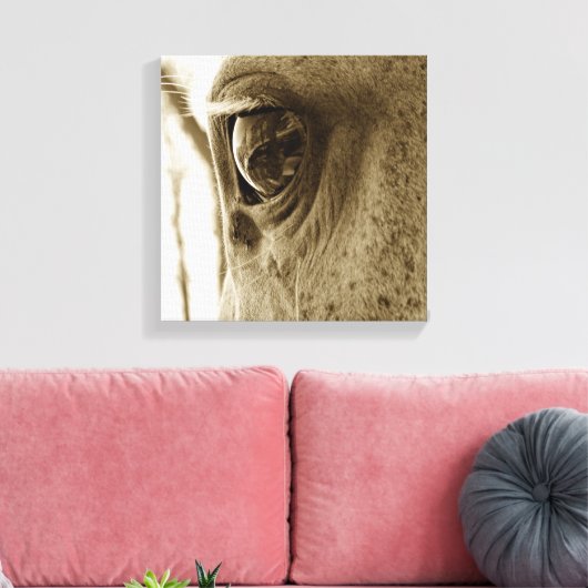 Toile Gros plan Sepia Image d'un Cheval gris applaudi da (Insitu(Salon))