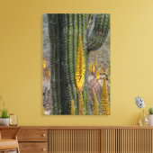 Toile Gros plan sur cactus et agave (Insitu(Salon))