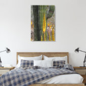 Toile Gros plan sur cactus et agave (Insitu(Chambre))