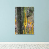 Toile Gros plan sur cactus et agave (Insitu (Plancher de Bois))