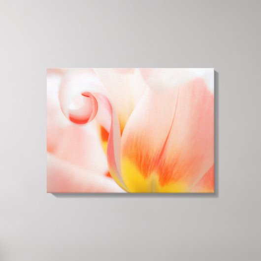 Toile Gros plan sur tulipe 3 (Recto)