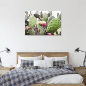 Toile Gros plan sur un cactus figuier de barbarie (Insitu(Chambre))