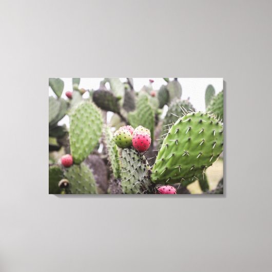 Toile Gros plan sur un cactus figuier de barbarie (Recto)