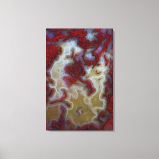 Toile Gros plan sur une dalle d'agate mousse rouge (Recto)