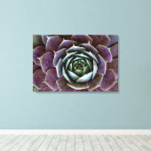 Toile Gros plan sur une succulente violette (Insitu (Plancher de Bois))