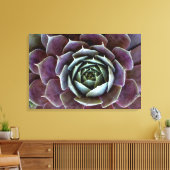 Toile Gros plan sur une succulente violette (Insitu(Salon))