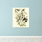 Toile Grosbeak à poitrine rose, Oiseaux d'Amérique d'Aud (Insitu (Plancher de Bois))