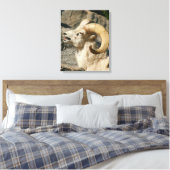 Toile Grosse corne Mouton rire (Insitu(Chambre))