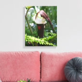 Toile Grosse Jack Dans La Fleur De Pulpit Fermer (Insitu(Salon))