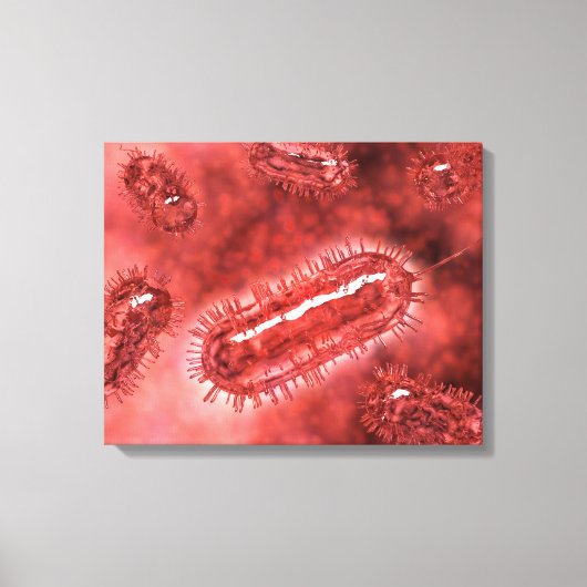 Toile Groupe De Cellules Bactéries Escherichia Coli 2 (Recto)