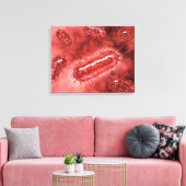Toile Groupe De Cellules Bactéries Escherichia Coli 2 (Insitu(Salon))