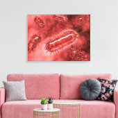 Toile Groupe De Cellules Bactéries Escherichia Coli 2 (Insitu(Salon))