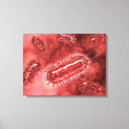 Toile Groupe De Cellules Bactéries Escherichia Coli 2 (Recto)