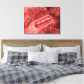 Toile Groupe De Cellules Bactéries Escherichia Coli 2 (Insitu(Chambre))