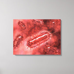 Toile Groupe De Cellules Bactéries Escherichia Coli 2