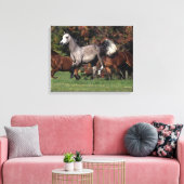 Toile Groupe de Chevaux arabes en course (Insitu(Salon))