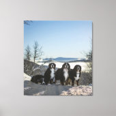 Toile groupe de chiens de montagne bernais (Recto)