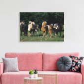 Toile Groupe de poulains miniatures (Insitu(Salon))