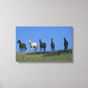 Toile Groupe des Arabes