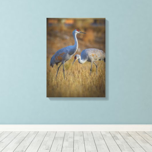 Toile grue (Insitu (Plancher de Bois))