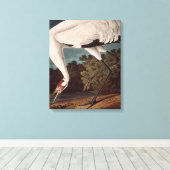 Toile Grue blanche, de 'Birds of America' (Insitu (Plancher de Bois))