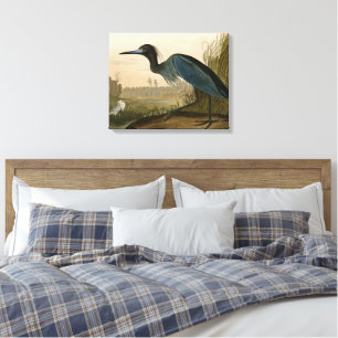 Toile Grue Bleue Heron Audubon Peinture