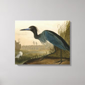 Toile Grue Bleue Heron Audubon Peinture (Recto)