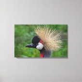 Toile Grue couronnée (Recto)