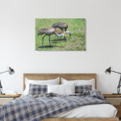 Toile Grues de Floride marchant dans un champ vert (Insitu(Chambre))