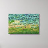 Toile Grues Sandhill (Recto)