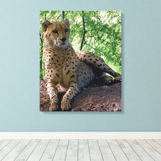 toile guépard (Insitu (Plancher de Bois))