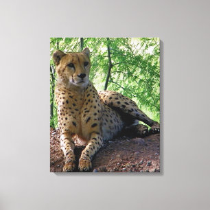 toile guépard