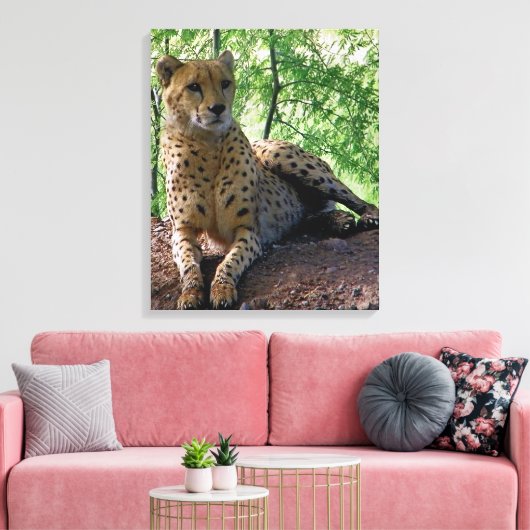 toile guépard (Insitu(Salon))