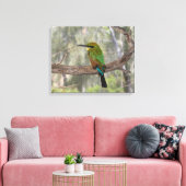Toile Guêpier arc-en-ciel, Australie (Insitu(Salon))