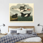 Toile Guillemot noir des oiseaux d'Amérique d'Audubon (Insitu(Chambre))