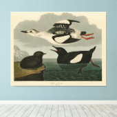 Toile Guillemot noir des oiseaux d'Amérique d'Audubon (Insitu (Plancher de Bois))