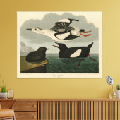 Toile Guillemot noir des oiseaux d'Amérique d'Audubon (Insitu(Salon))