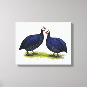 Toile Guineas Royal Purple Pair