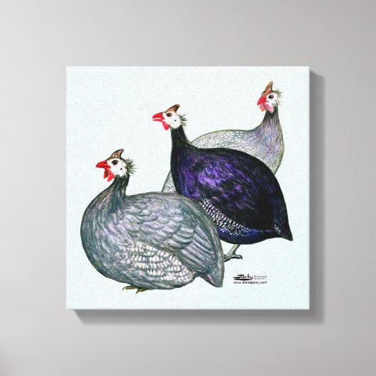 Toile Guineas trois (Recto)